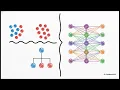 Python for Beginners - Lesson 20 What s Next Exploring the Python Universe