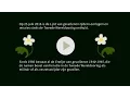 Download Lagu FIlm monument Lijst van gevallenen in oorlogen en missies sinds de Tweede Wereldoorlog