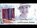 The EASIEST method for brewing KOMBUCHA at home kombucha made easy continuous brew on a budget