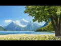NATURE 4K Live Wallpaper