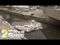 EBR to invest in stormwater cleaning systems to stop litter debris from entering waterways