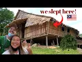 Download Lagu Mind-blowing 24 hours with local tribe in Borneo! 🇲🇾