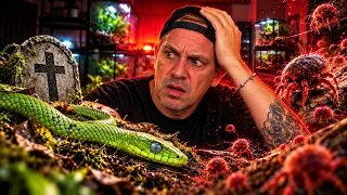 J’AI DES GROSSES GALÈRES AVEC MES SERPENTS (mauvaise nouvelle…) - TOOPET