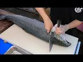 Download Lagu How To Fillet a Whole Salmon - How To Make Sashimi Series