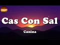 🎶 Canina - Cas Con Sal (Letra\Lyric)