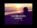 Download Lagu Julia Dawn Olson - Wait for the Dawn (Lyric Video)