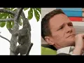 can sloths move fast