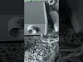 Sleep Number DUALtemp unit quick demo