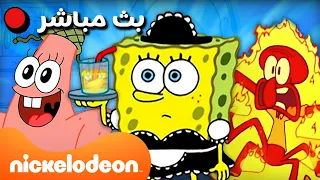 مباشر سبونج بوب أفضل حلقات الموسم الثالث سبونج بوب Nickelodeon Arabia 