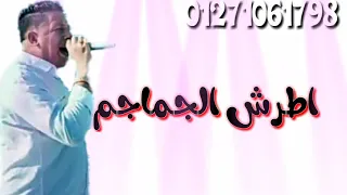 اجدد وافضل حالات الوتس لعام 2019 حموبيكا علي مهرجان اطرش الجماجم 