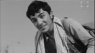 أتريد أن تكون 