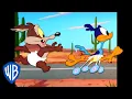 Download Lagu Looney Tunes | Baby Wile E. Coyote and Baby Road Runner | Classic Cartoon | WB Kids