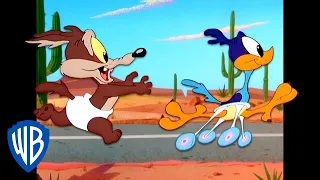 Looney Tunes Baby Wile E Coyote and Baby Road Runner Classic Cartoon WB Kids
