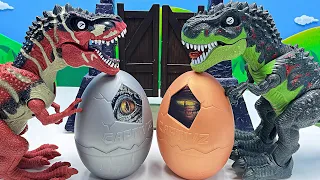 Dinosaur Egg Battle In the Jurassic World! Dinosaur Puzzle Fun Video  With Tyrannosaurus Rex