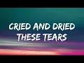 Blake Shelton - Neon Light (Lyrics)