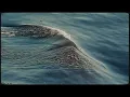 Ian Harrison - If You Ever Loved Me (Official Visualizer)