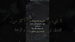 لا شي يلفت إنتباه الروع أكثر            اكسبلور  لايك  انستا  عبارات  قتباسات  مصمم  تصميم فيديوهات دندنها