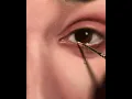 Micro Mini Detail Brushes for Artists Review by Eric Armusik