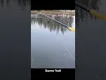 Download Lagu fishing #fishing #mancing #fypyoutube