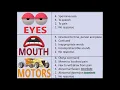 Glasgow COMA Scale Incredibly EASY Mnemonic