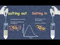 Download Lagu Salting in and salting out | How does salting out happen? | what is salting in of proteins?