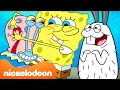 Download Lagu SpongeBob | Momen TERBAIK hewan peliharaan SpongeBob! 🐌 | Kompilasi 45 menit | Nickelodeon Bahasa