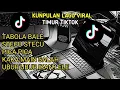 Download Lagu Tabola Bale, Stecu Stecu, Ubur Ubur Ikan Lele | Lagu Timur Viral TikTok Terbaru 2025  