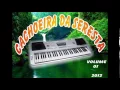 Download Lagu som Automotivo - -Cachoeira da seresta ao vivo cd completo