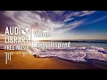 Download Lagu Visions - Lakey Inspired