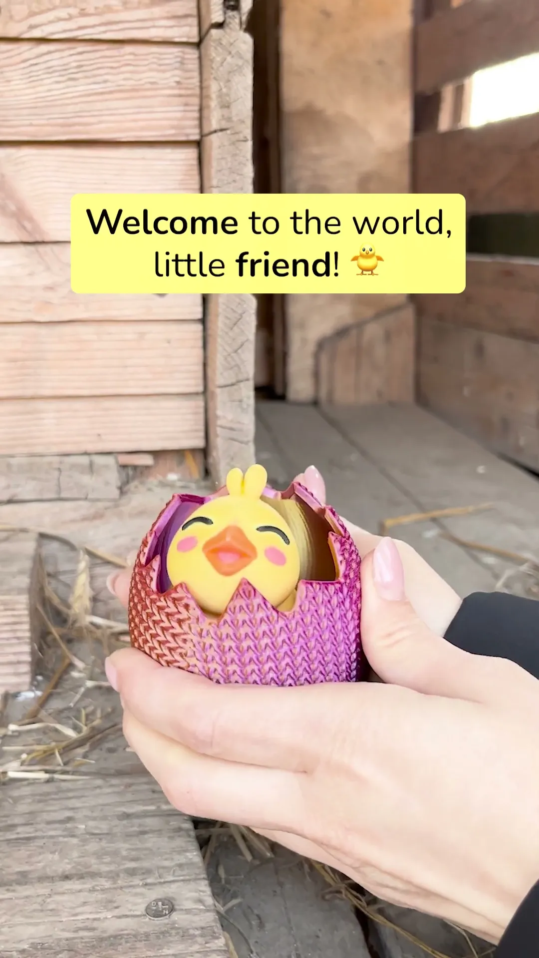 Cute Happy Easter Chick with Finger Friend Hole!