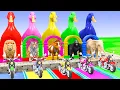 Download Lagu Long Slide Game With Cow Elephant Gorilla Hippopotamus Tiger 3d Animal Game Funny 3d Animals