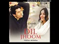 Dil Jhoom By Vishal Mishra  - Gadar 2