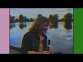 Belle and Sebastian - The Boy with the Arab Strap (Official Live Music Video)