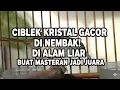 Lagu CIBLEK KRISTAL TEMBAKAN RAJA! Masteran 30 Menit NONSTOP untuk GACOR \u0026 NGEKEK LOMBA