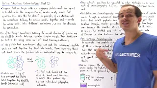 Determining Protein Struture