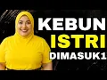 Download Lagu KISAH ISTRI BOS BATU BARA  MEMINTA KEPADA SOPIR NYA UNTUK MENANAM P1S4N6
