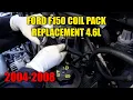 2004-2008 F150 4 6L Coil Pack Replacement FAST METHOD Tutorial DIY