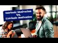 Unlock Team Productivity The Power of Intrinsic Motivation
