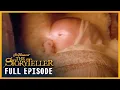 Download Lagu The Storyteller | FULL EPISODE | The Luck Child