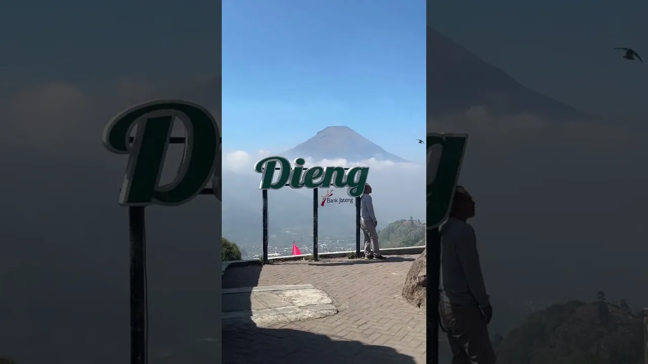 Live highlight