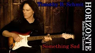 Download timothy b schmit - Something Sad - 1990 MP3