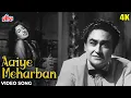 Lagu आइये मेहरबाँ : Aaiye Meherbaan [4K] Video Song | Asha Bhosle | Madhubala, Ashok Kumar |Howrah Bridge