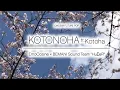 Download Lagu [IIDX Pinky Crush] KOTONOHA ft. Kotoha / EmoCosine × BEMANI Sound Team \