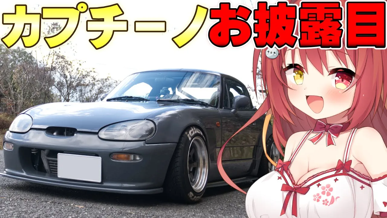 動画を読み込む: 