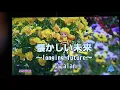 懐かしい未来　　alan