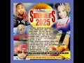 Download Lagu Southern Hits 2025 VOL 1 NO TALKING