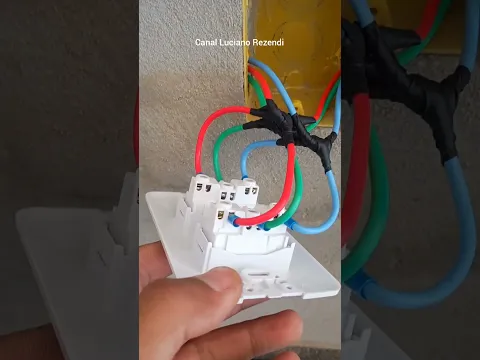TEM MUITO ELETRICISTA E POUCOS PROFISSIONAIS. QUAL DELES VC É?
