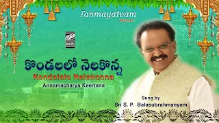 kondalalo nelakonna s p balasubrahmanyam annamayya keertana i with lyrics