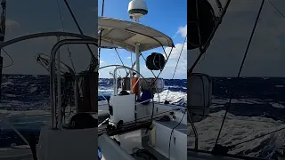 BIG MF WAVES IN THE PACIFIC! #sailing #adventure