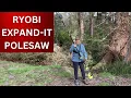 Ryobi Expand-It 10 in Universal Pole Saw Attachment